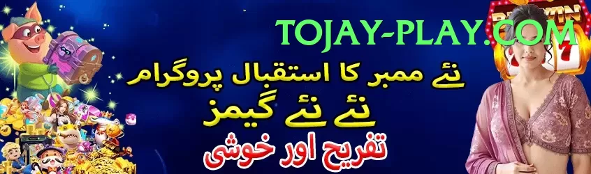 tojay game app for Pakistan players - startup incubator participation