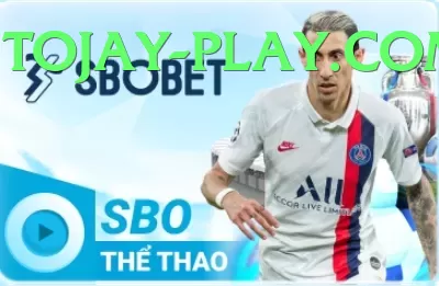 tojay Sports - tojay - digital inclusion project photo